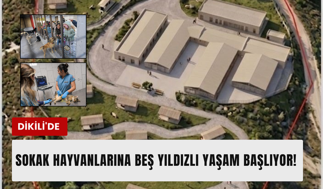 Dikili’de patili dostlara 24 bin metrekarelik yeni yuva!