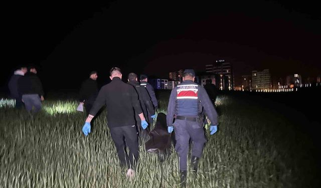 Uşak'ta tarlada cansız beden bulundu