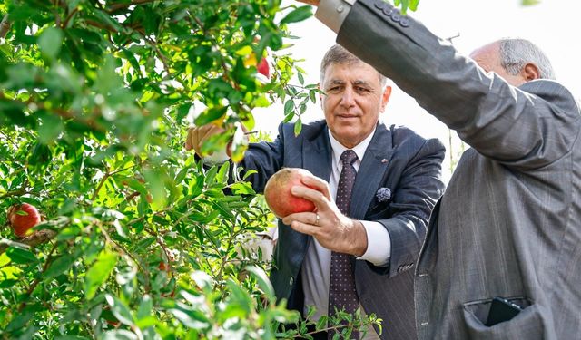 İzmir tarımında yeni dönem