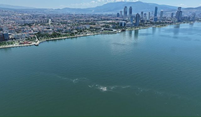 İzmir Körfezi’nde neler oluyor? 14. kez aynı şey yaşandı!