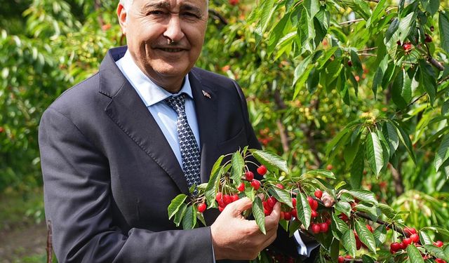 Kemalpaşa’da festival coşkusu sürüyor