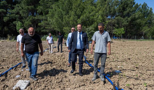 Bornova’da atıl araziler üretime kazandırılıyor