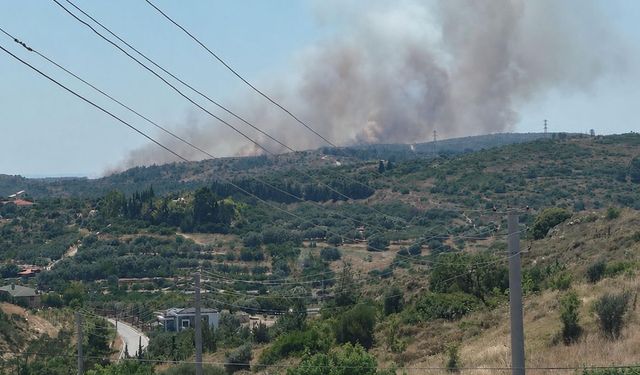 Çeşme'de kabus: Makilik alanda yangın!