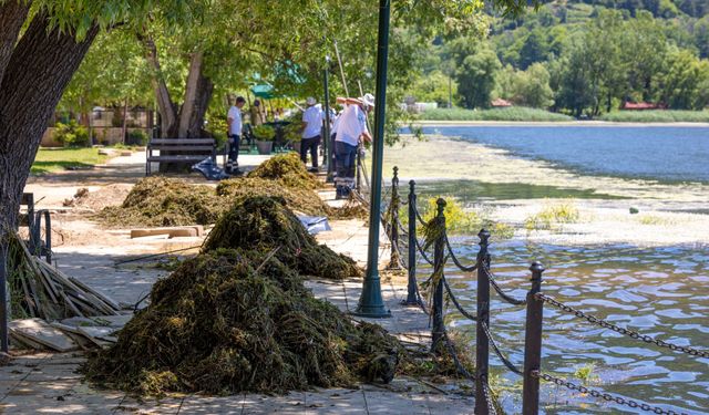 Büyükşehir doğa harikasına sahip çıkıyor