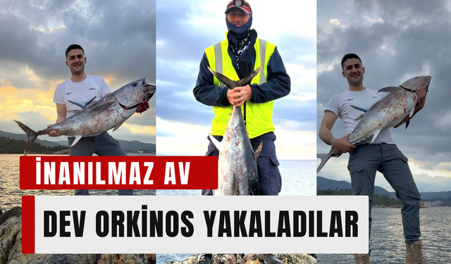 İzmir kıyılarında dev orkinos avı