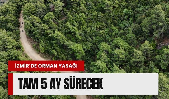 İzmir'de ormanlara giriş yasağı! tam 5 ay sürecek