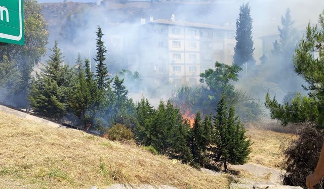 İzmir'de ot yangını afet konutlarına dayandı!