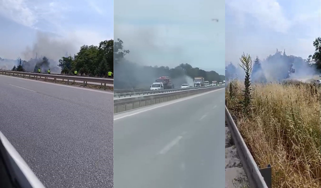 İzmir- Bursa yolunda korkutan yangın!
