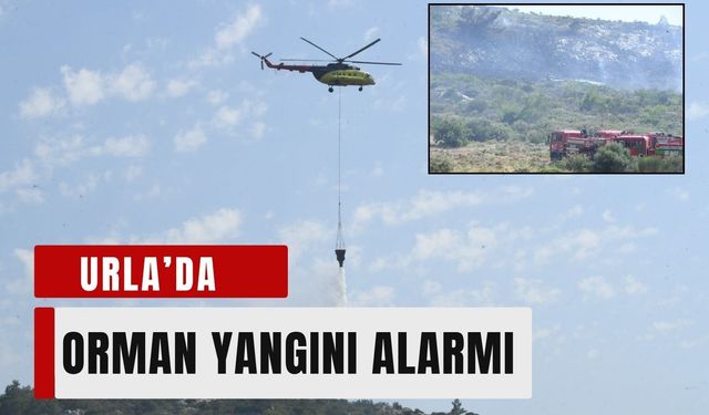 Urla’da orman yangını alarmı: Ekipler seferber oldu