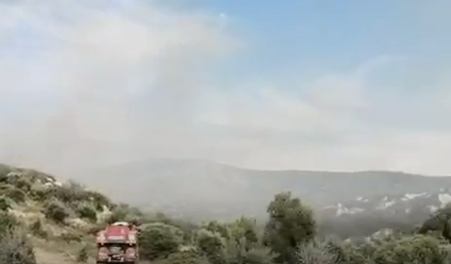 Çeşme'de korkutan yangın!
