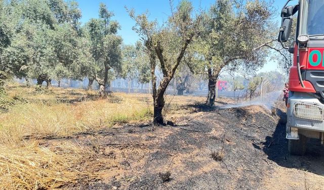 İzmir'de korkutan yangun: Alevler seralara sıçradı!