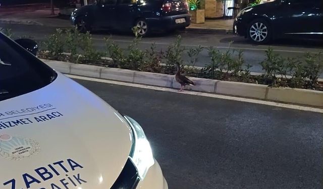 Karşıyaka'da yürek ısıtan anlar!