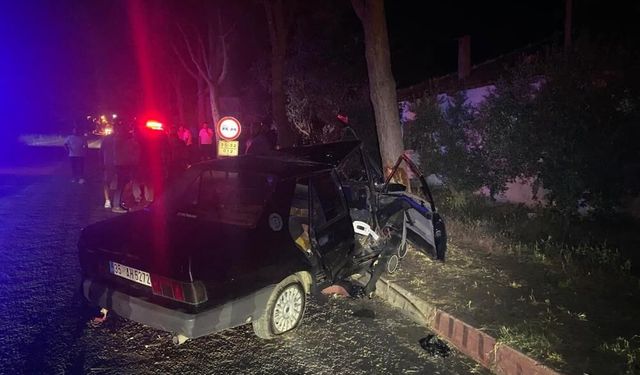 İzmir’de sokak köpeği faciası: 1’i ağır 2 kişi yaralandı!