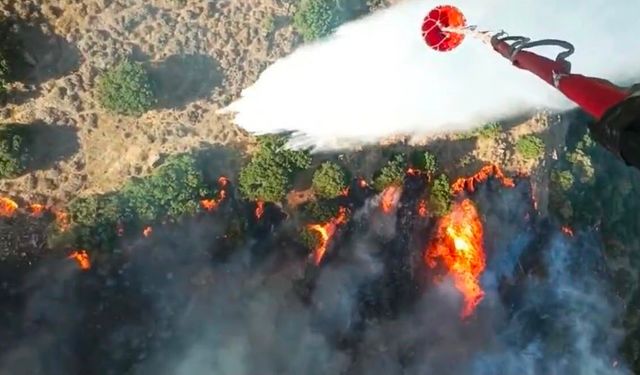 Menemen'de çıkan yangın kontrol altına alındı