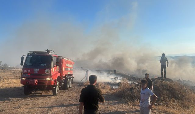 İzmir Aliağa'da otluk alanda yangın paniği