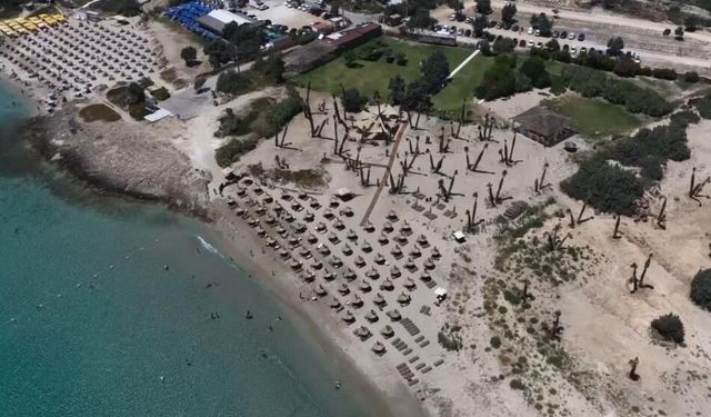 Önü plaj, arkası tarla: Çeşme'de çevreci tesis!