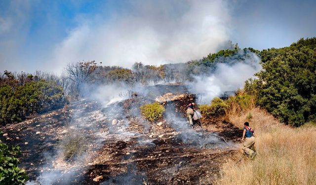 Aliağa'da orman yangınına hızlı müdahale!