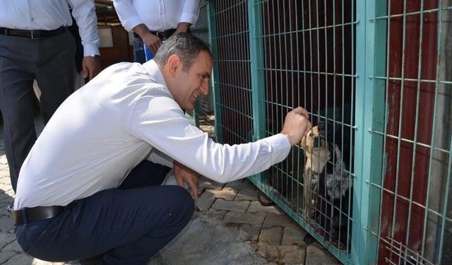 Bayındır'da protokolden yakın markaj