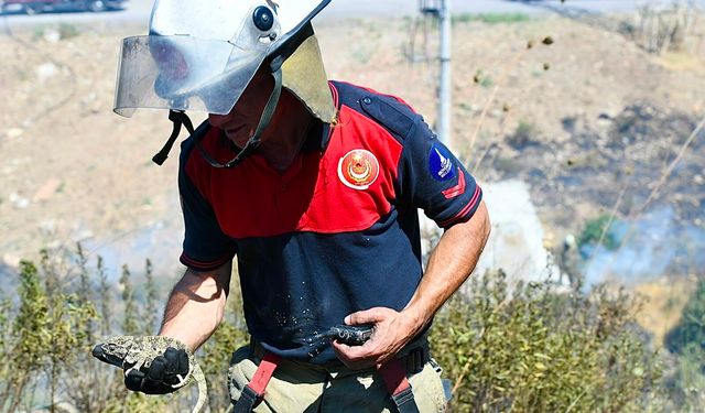 İzmir İtfaiyesi'nden yangında bukalemuna yaşam dokunuşu