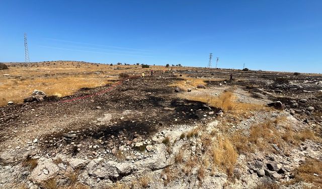 Çeşme Germiyan’da elektrik hattından çıkan yangın kısa sürede söndürüldü!