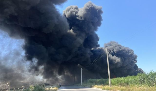 İzmir geri dönüşüm fabrikasında yangın!