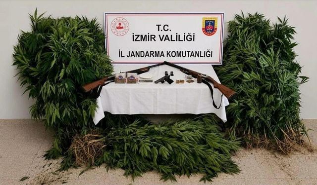Ağaç arasında kirli tezgah: Zehir taciri tutuklandı!