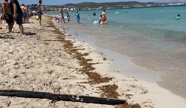 Çeşme Ilıca Plajı'nda kirlilik tepkisi