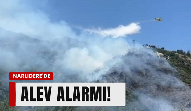 İzmir Narlıdere'de yangın!