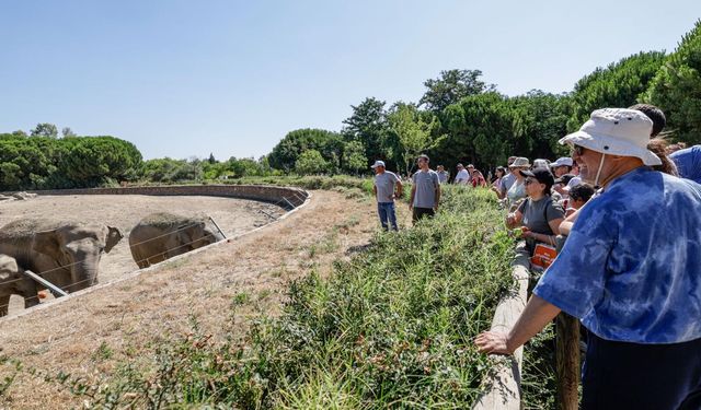 Üç nesil Sasalı Doğal Yaşam Parkı'nda buluştu