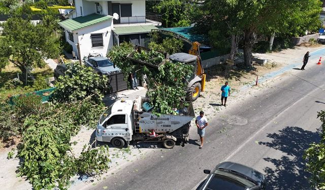 Seferihisar'da çalışmalar hız kesmiyor!