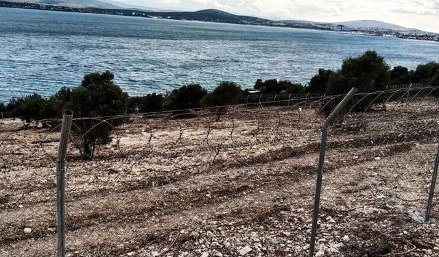 Çeşme’de çevreciler ve doğa kazandı: Kalemburnu’ndaki hukuksuz tahribat durduruldu!