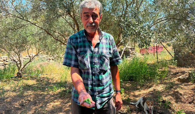 Menemen'de 100 yıllık su sorunu çözüldü