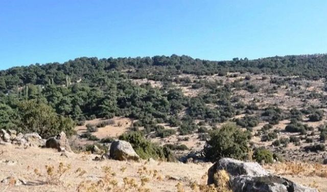 Yamanlar’daki TOKİ planına Büyükşehir’den ret