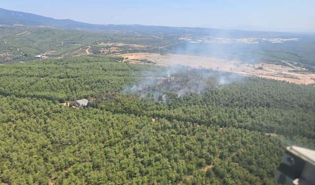 Buca’da korkutan yangın kontrol altında