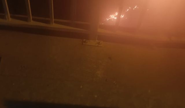 Karacabey’de ormanlık alanda yangın paniği!