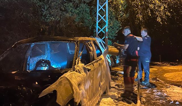Erdek’te otomobil alevlere teslim oldu