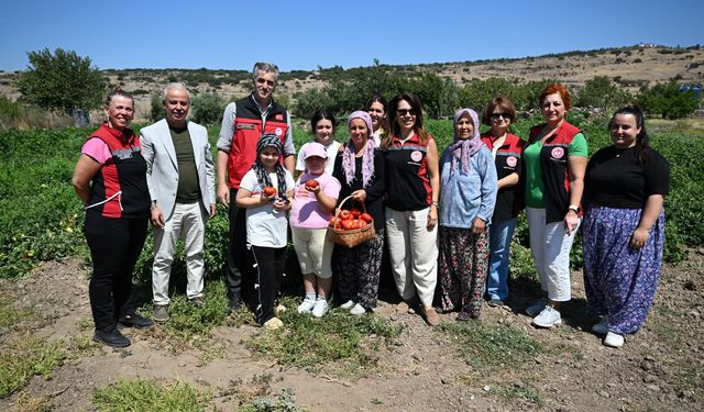 Yamanlar Tarla Domatesi için üreticiler sahada buluştu