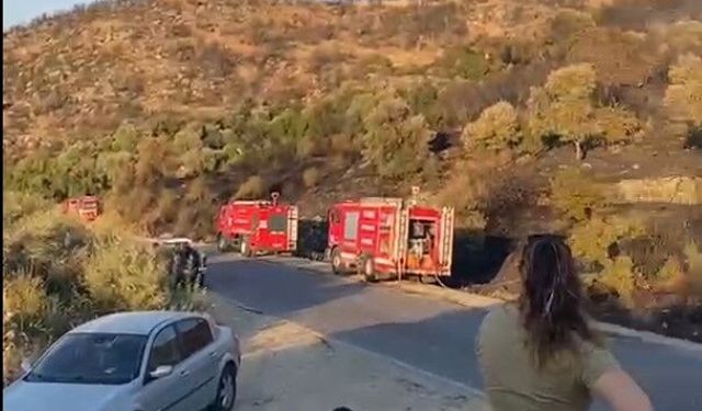 Söke’de orman yangını kontrol altına alındı