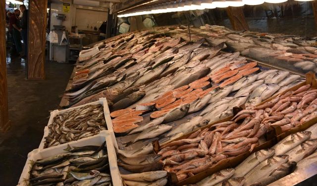 İzmirli balıkçılardan yeni sezon mesajı: Palamut bereketi geliyor!