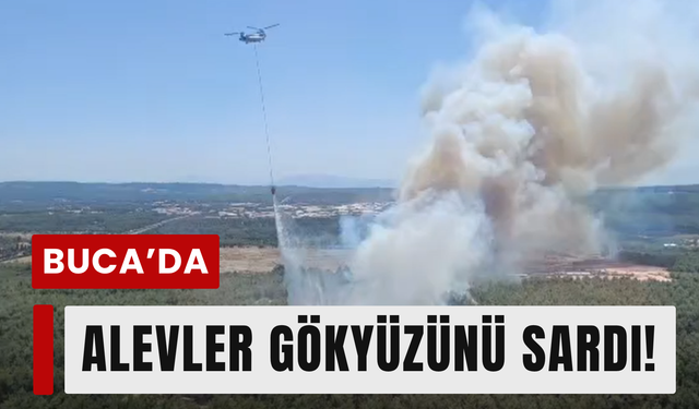 Buca’da alev alarmı: Ekipler seferber oldu!