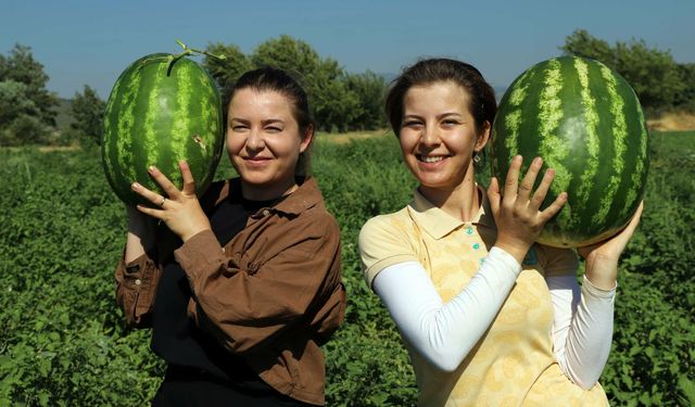 Diplomayı aldılar, toprağa döndüler!