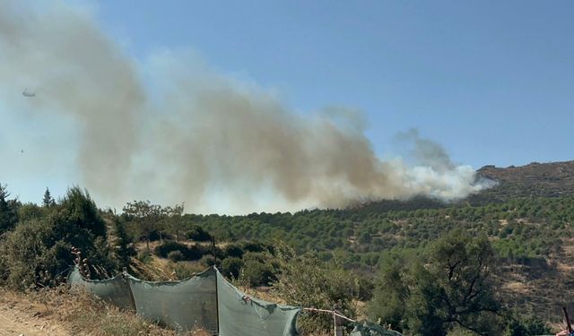 Ödemiş'te orman yangını: Havadan ve karadan müdahale!