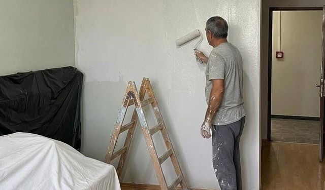 Üniversiteli kardeşlerden enerji tasarruflu boya