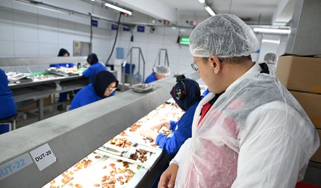 İzmir’de organik tarım buluşması