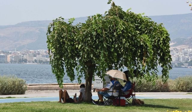 Prof. Dr. Türkeş uyardı: Sıcaklıklar artacak