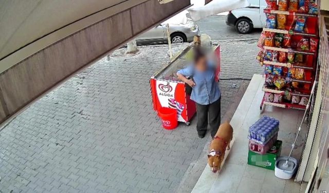 Pitbull saldırdı, parmağını kopardı!