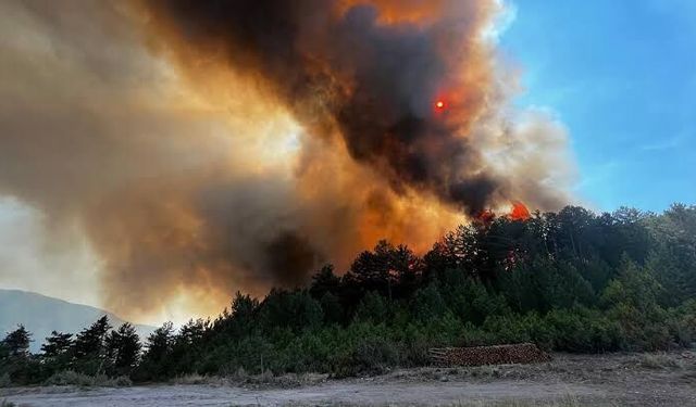 Sındırgı’daki yangında şüpheliler gözaltına alındı