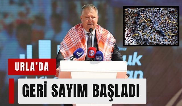 Urla’da Bağbozumu Şenlikleri için geri sayım başladı