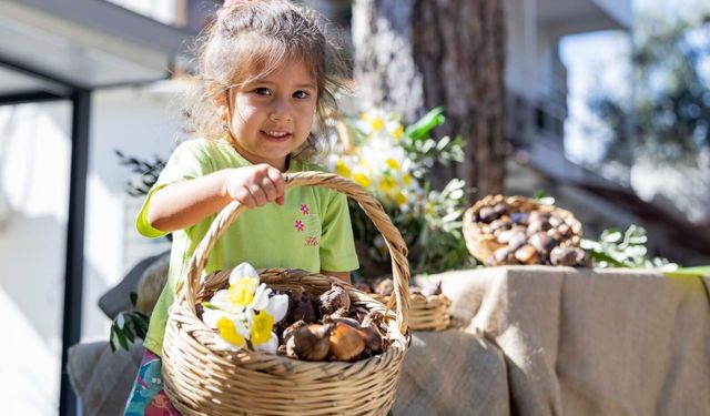Karaburun’un nergislerine büyük destek!