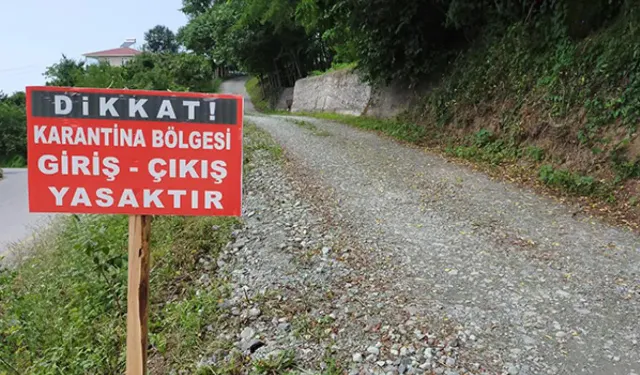 Bergama'da mavi dil alarmı: 15 mahalle karantinada!